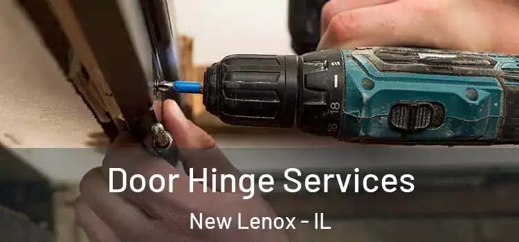Door Hinge Services New Lenox - IL